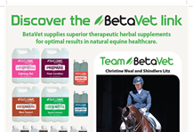 Sponsor Profile: Betavet
