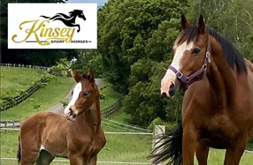 Sponsor Profile: Kinsey Sport Horses