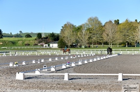 Sponsor Profile: Our BOP Dressage Groups