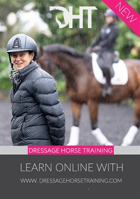 Sponsor Profile: Dressage Rider Training