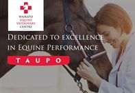 Sponsor Profile: Waikato Equine Veterinary Centre Taupo