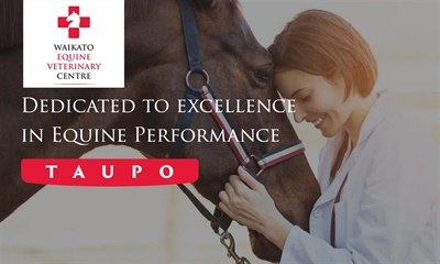 Waikato Equine Veterinary Centre Taupo