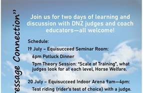 Dressage Bay of Plenty Discovering the Dressage Connection