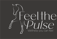 Sponsor Profile: Feel the Pulse