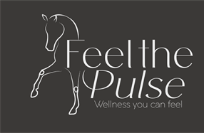 Sponsor Profile: Feel the Pulse