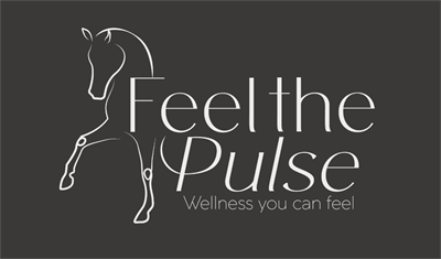 Sponsor Profile: Feel the Pulse