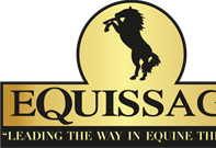 Sponsor Profile: Equissage - Debbie Young