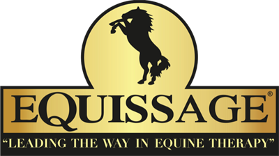Sponsor Profile: Equissage - Debbie Young