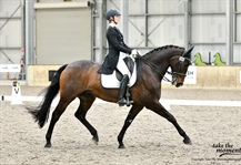 Riders are in the arenas for final show day!