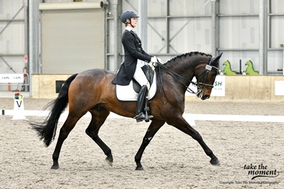 Riders are in the arenas for final show day!