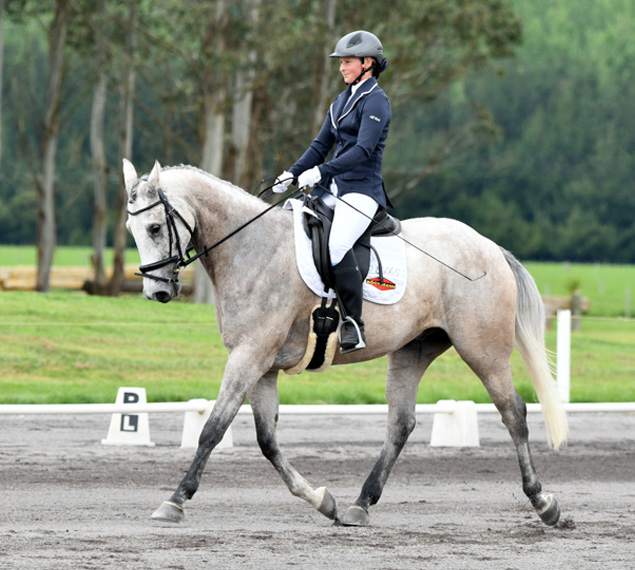 Dressage Bay of Plenty