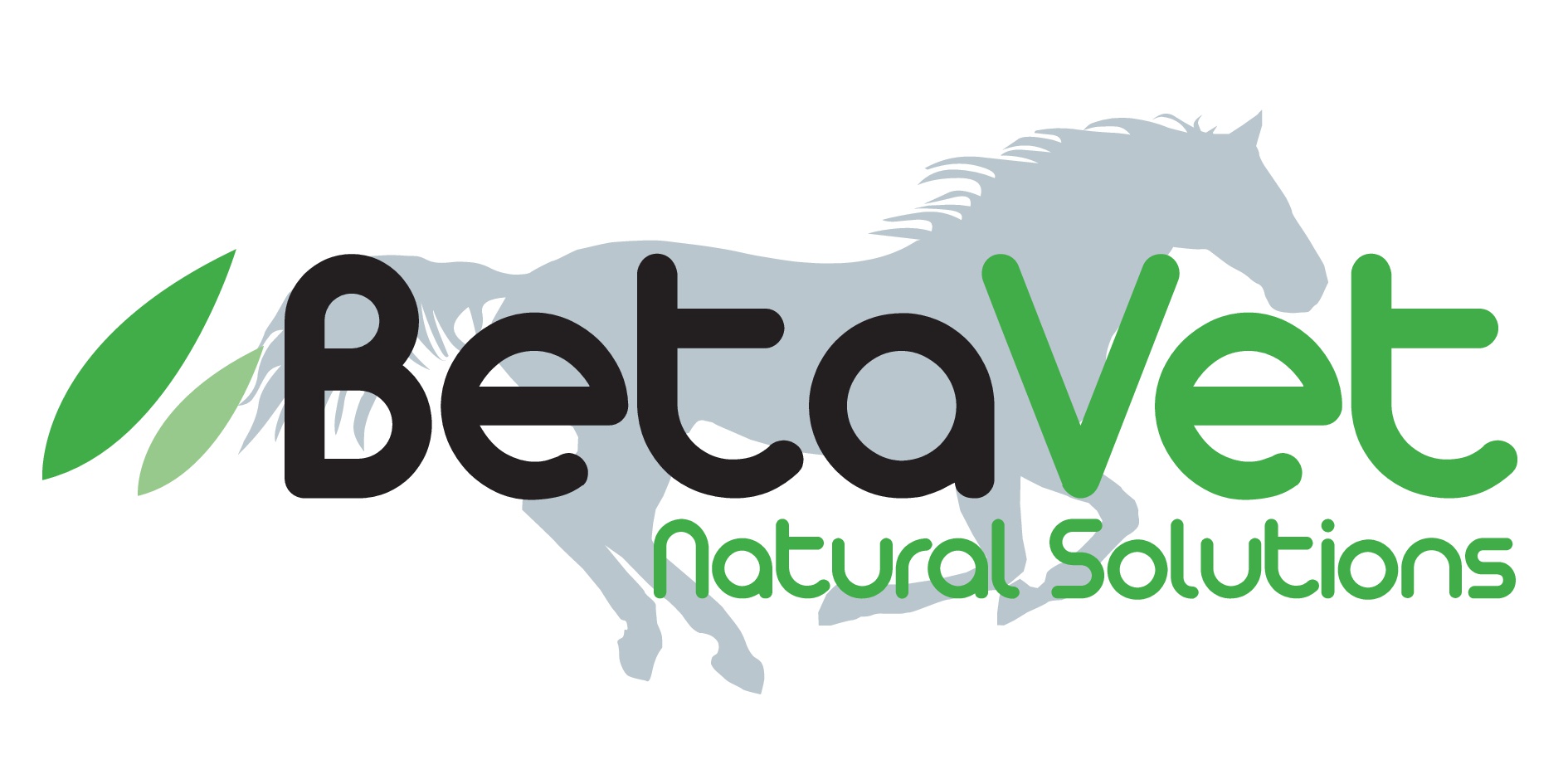 Sponsored by Betavet