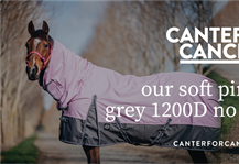 Sponsor Profile: Canter for Cancer