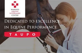 Sponsor Profile: Waikato Equine Veterinary Centre Taupo