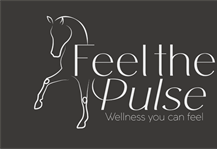 Sponsor Profile: Feel the Pulse