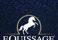 Sponsor Profile: Equissage - Debbie Young