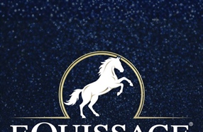 Sponsor Profile: Equissage - Debbie Young