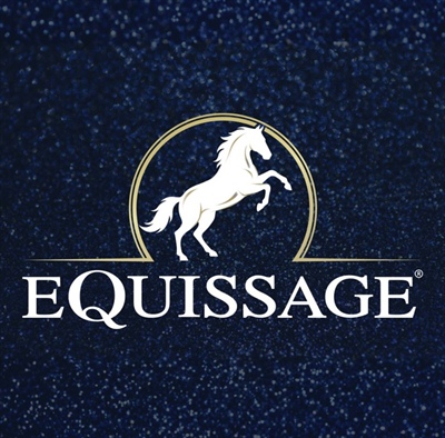 Sponsor Profile: Equissage - Debbie Young